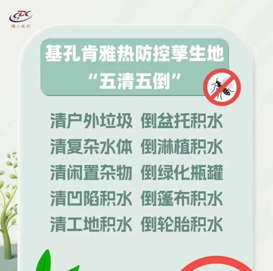 基孔肯雅热防控孳生地“五清五倒”